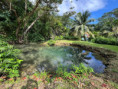 /album/vy-a-my-jamajka-port-antonio/port-antonio-jamajka-vylety-99-jpg/